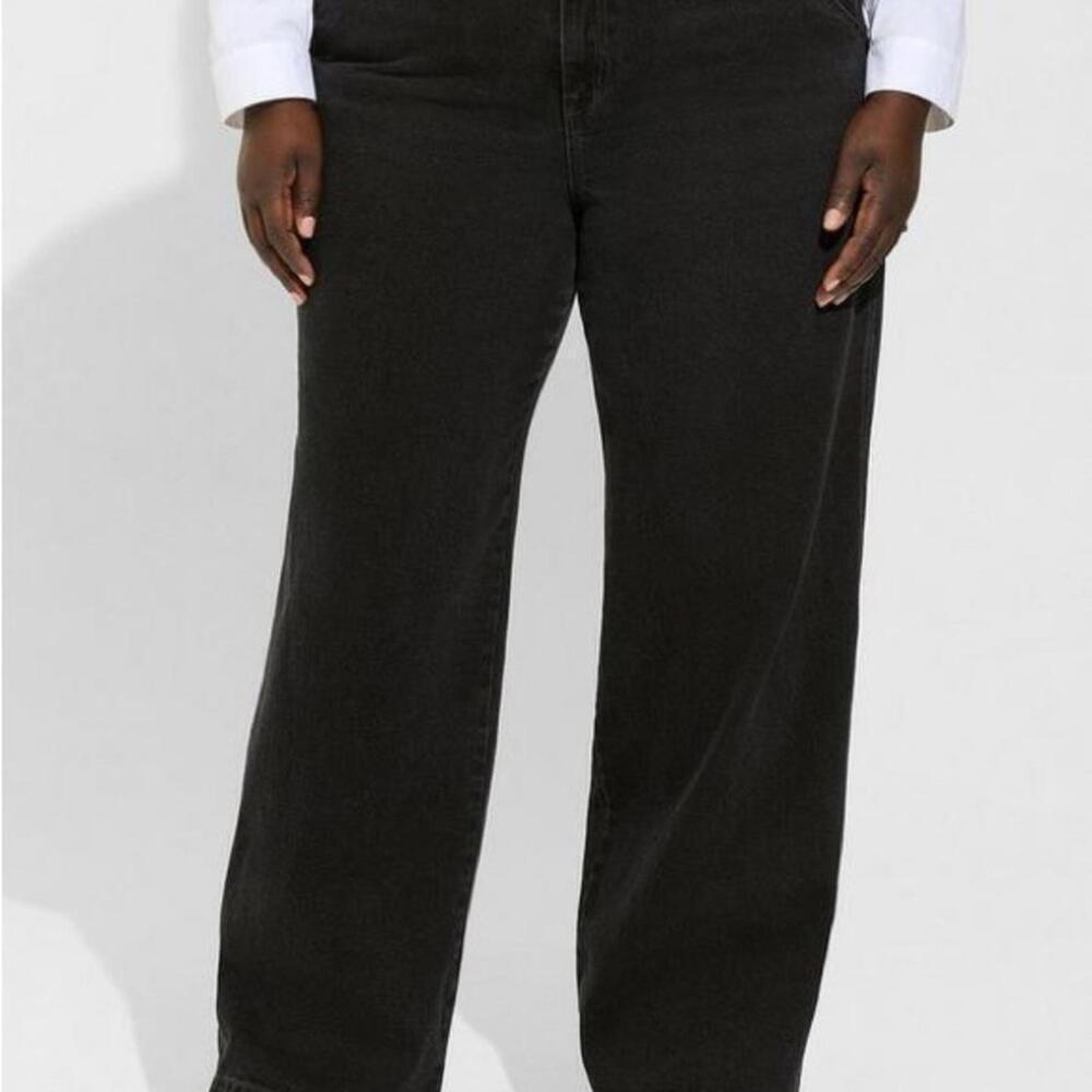 Torrid High-Rise Carpenter Jeans 16R - New with Tags
